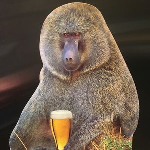 Meet your Posher, Rustin